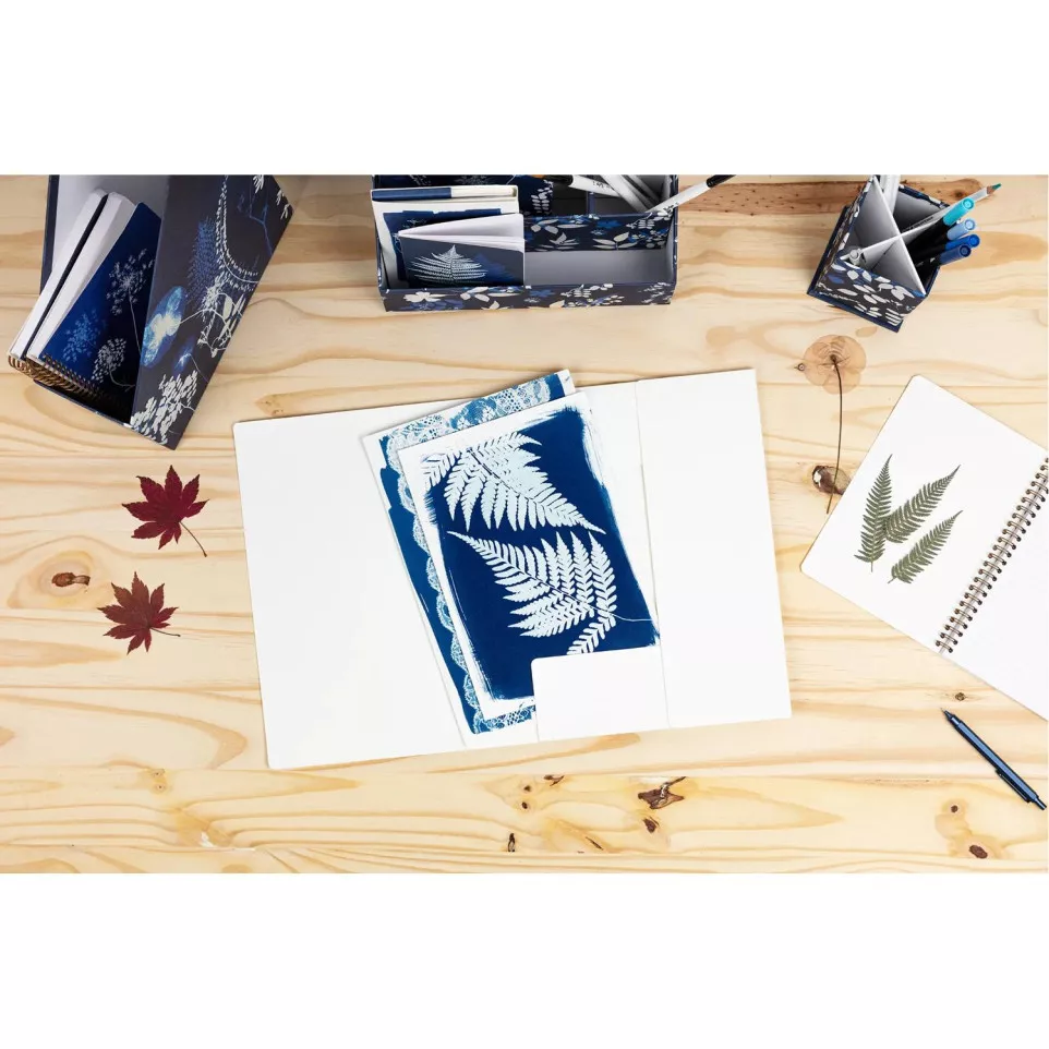 Cyanotype, Chemise à- élastique 24x32...