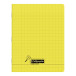 PP STAPLD NTBK VI 17-X22 24SH SEYES 2,5MM/ Pc.