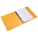 Ringmap 4R 30mm PP A-4 Pop'NCo geassort./ St.