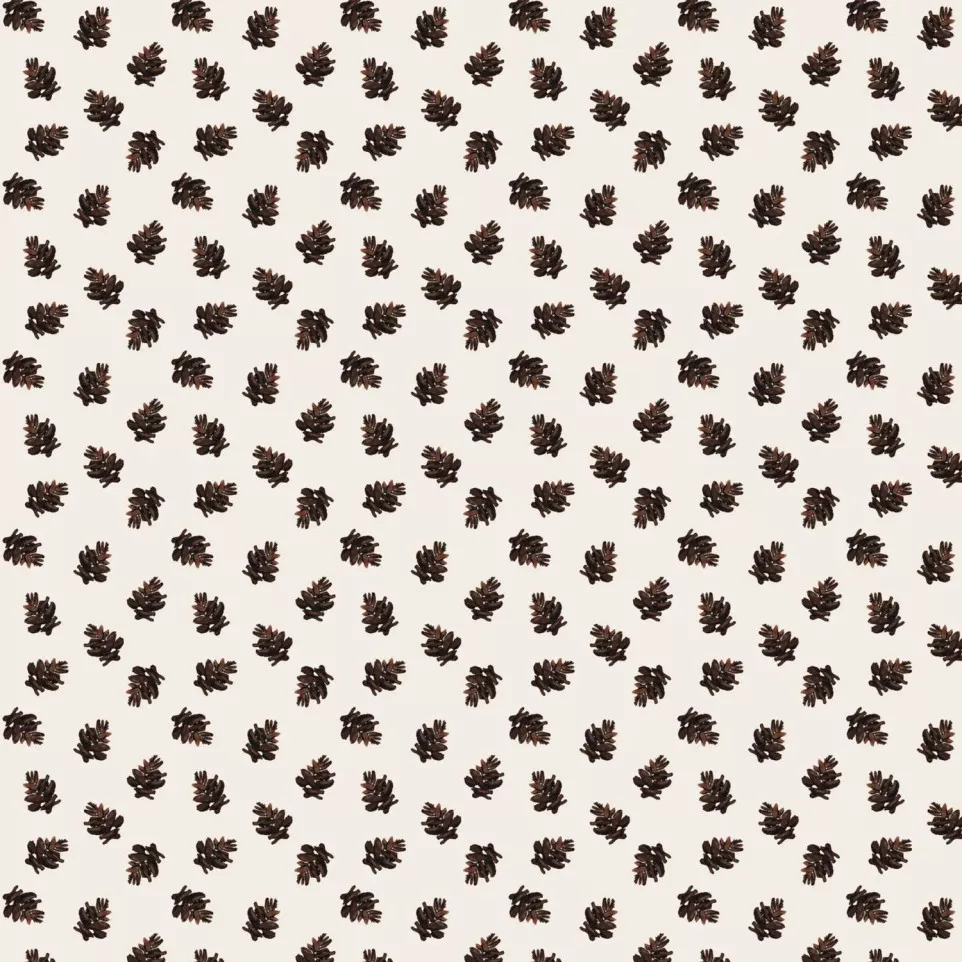 Origami pak 60blad 1-5x15cm, Cosy...