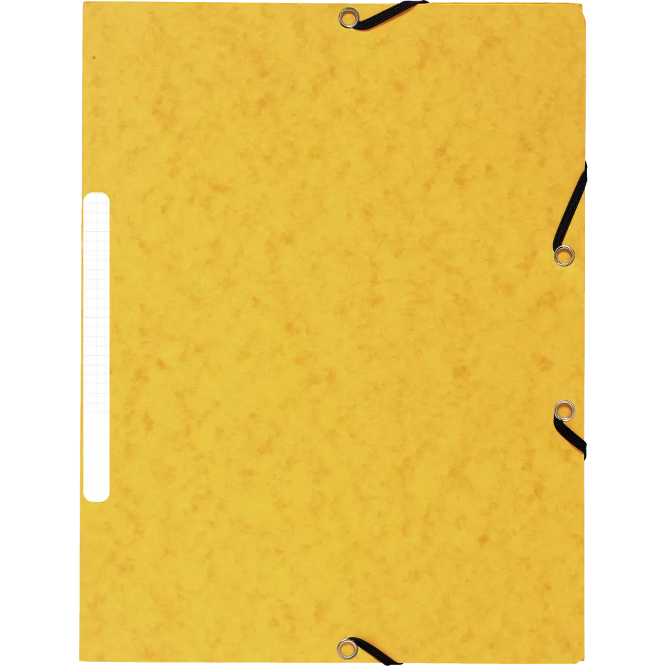 Folder 3 Flap Elastic+Label Recycle...