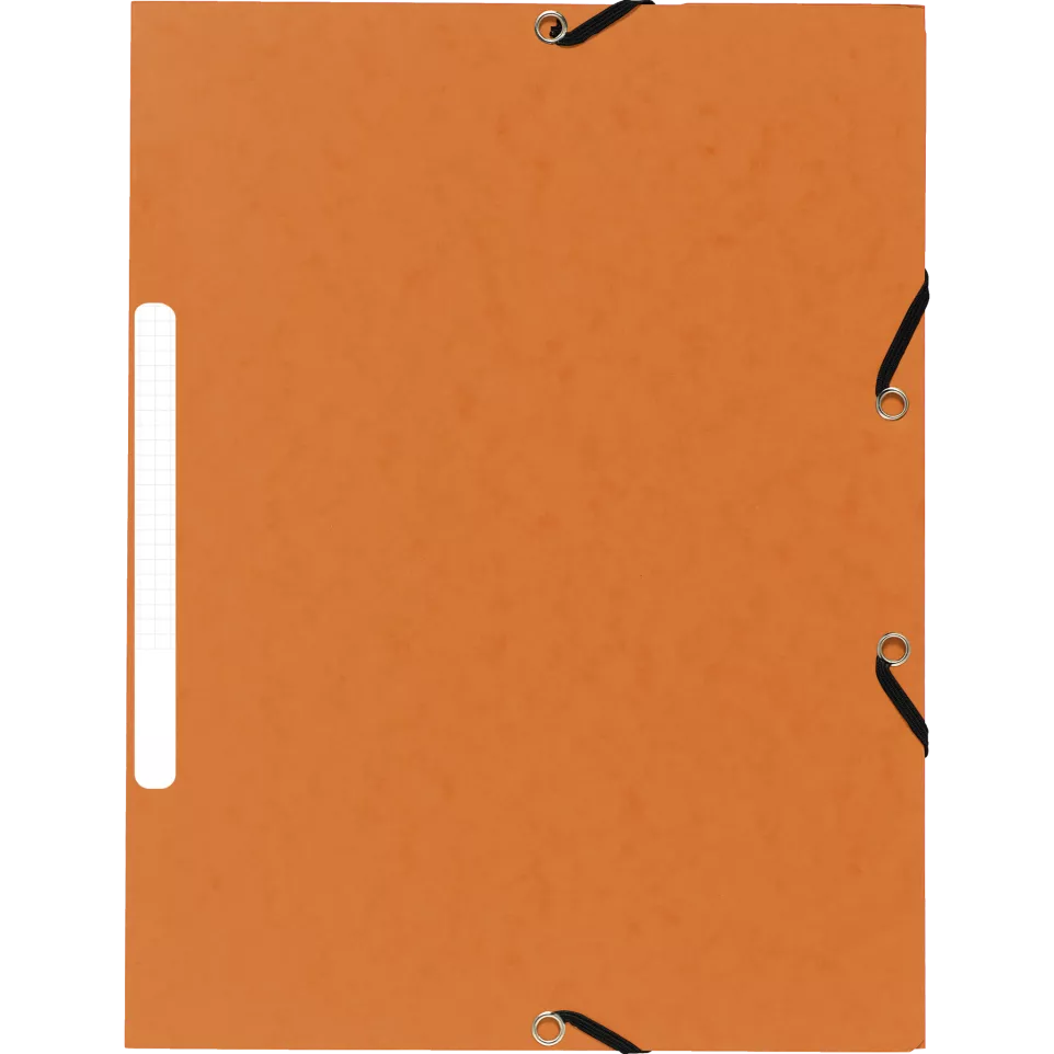 Folder 3 Flap Elastic+Label Recycle...