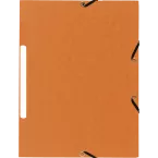 Folder 3 Flap Elastic+Label Recycle Ast/ Pc.