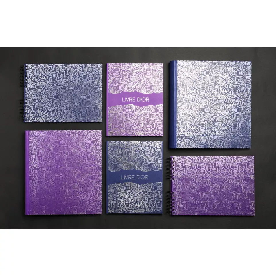 Livre d'or 100 pages tranche argent...