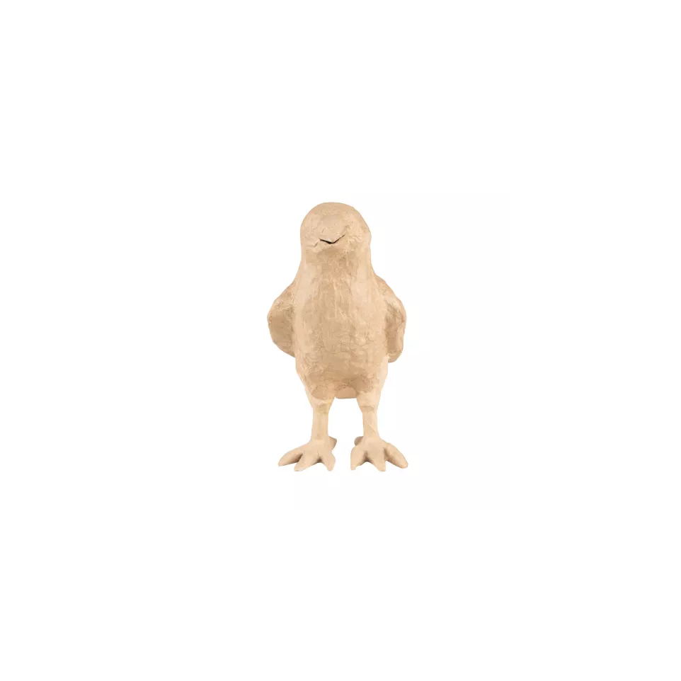 Corbeau/ Pce