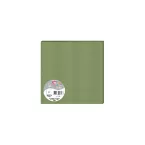 Sage green 160x160 Pollen card/25-/ Pc.