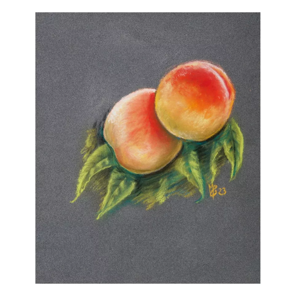 PastelGrain bloc collé n°1 12F...