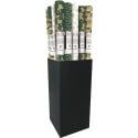 Kraft brut 70g, Forest 5x0,70m, en carton prés. de 20rlx/ Pce
