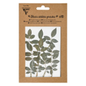 Gedroogde bloemen pl-at, 10 st., Groen 2/ St.
