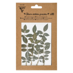 PRESSED DRIED FLOWER-S,...