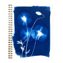 Cyanotype, spiraalsc-hrift A5 74bl L ass/ St.