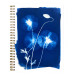 Cyanotype, spiraalsc-hrift A5 74bl L ass/ St.