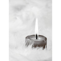CORRESP SET, 8 cards- + 8 env, Sorrow/ Pc.