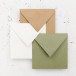 Paquet de 20 enveloppes Pollen 165x165 120g/m2/ Pce