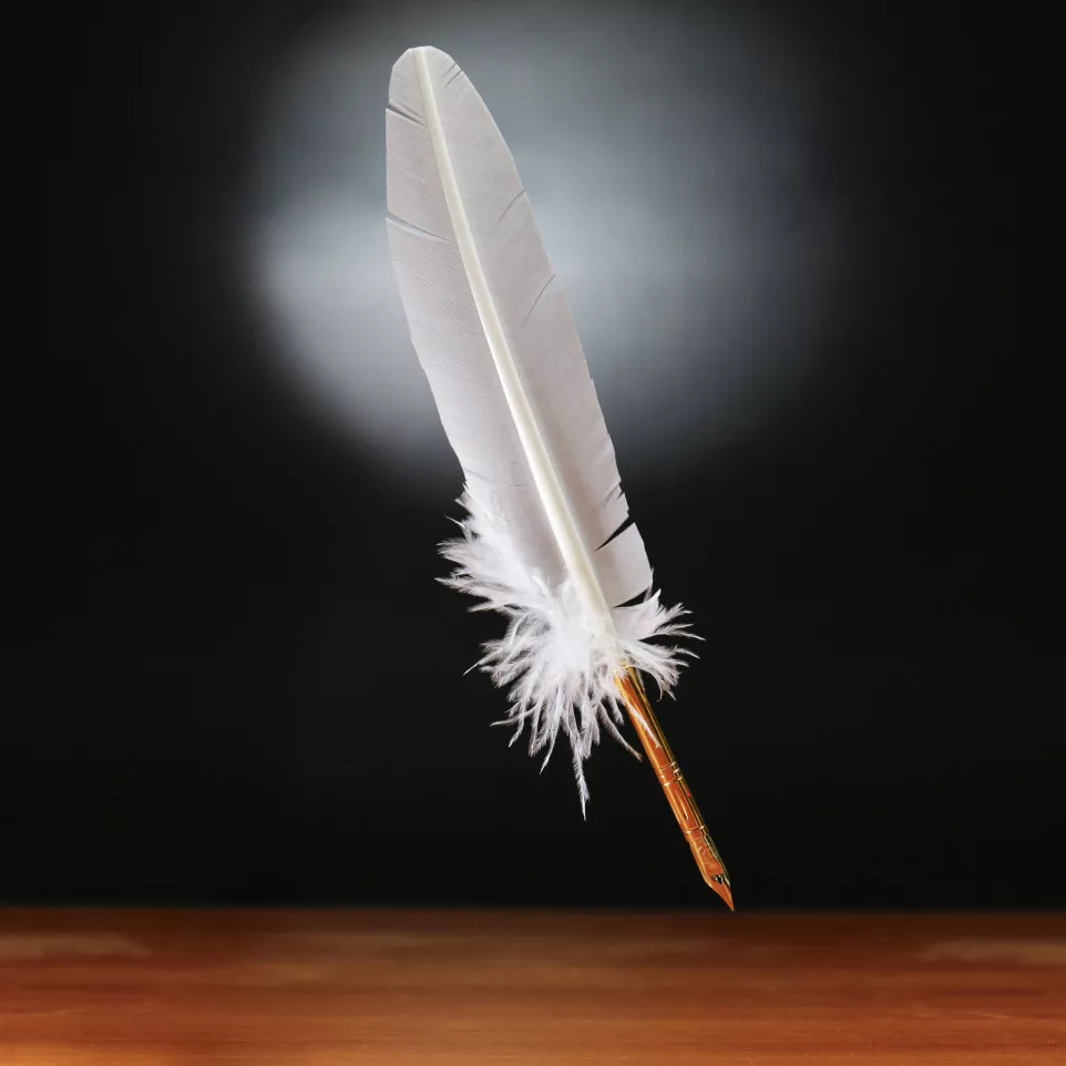 goose quill with nib withe-/ Pc.