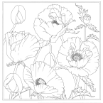 SCARF 100% SILK - 90x90CM...