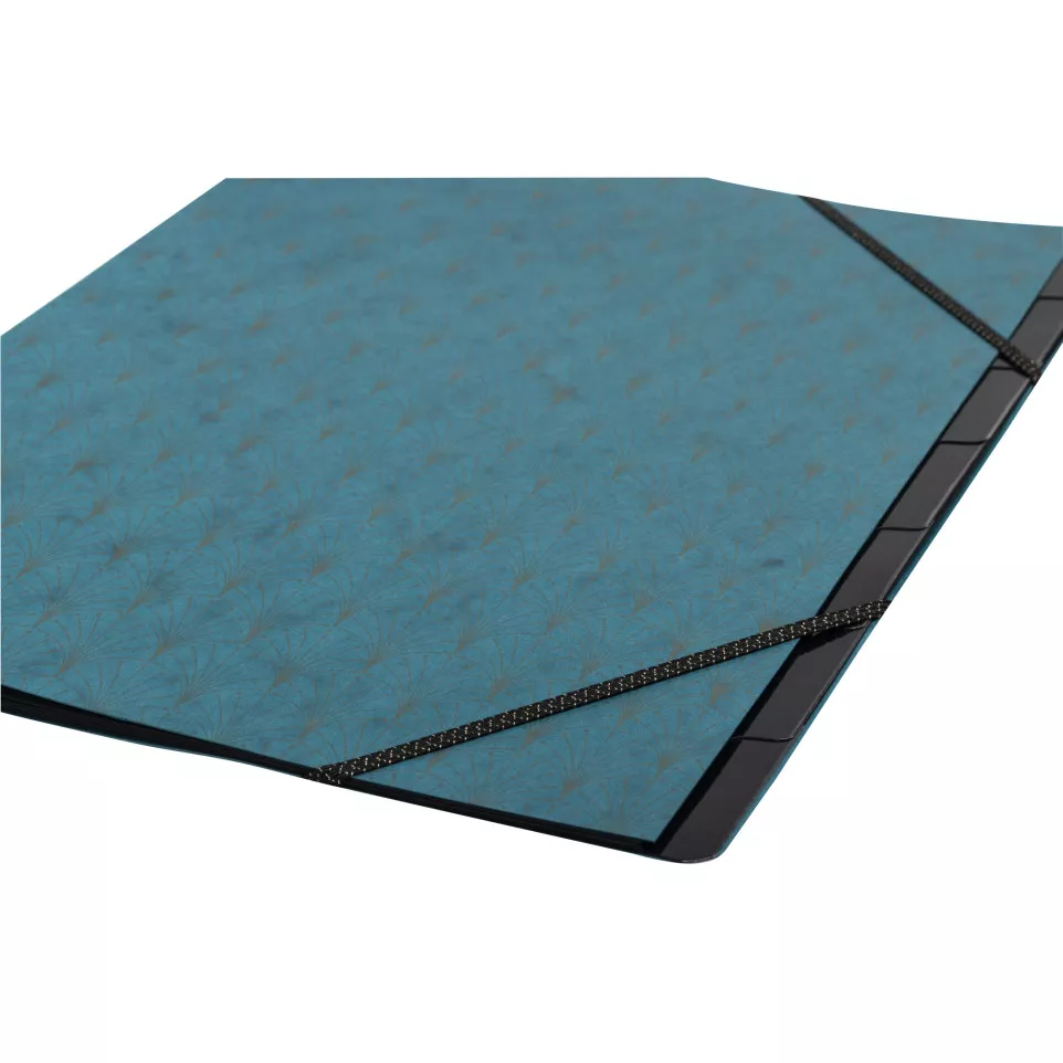 Trieur extensible à elastiques...