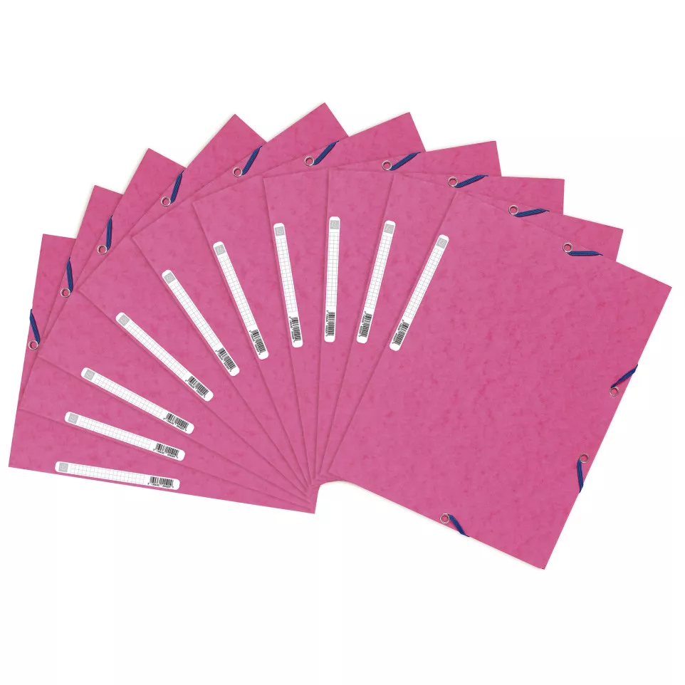 Exacompta Elasticated Folder, 3-Flap,...