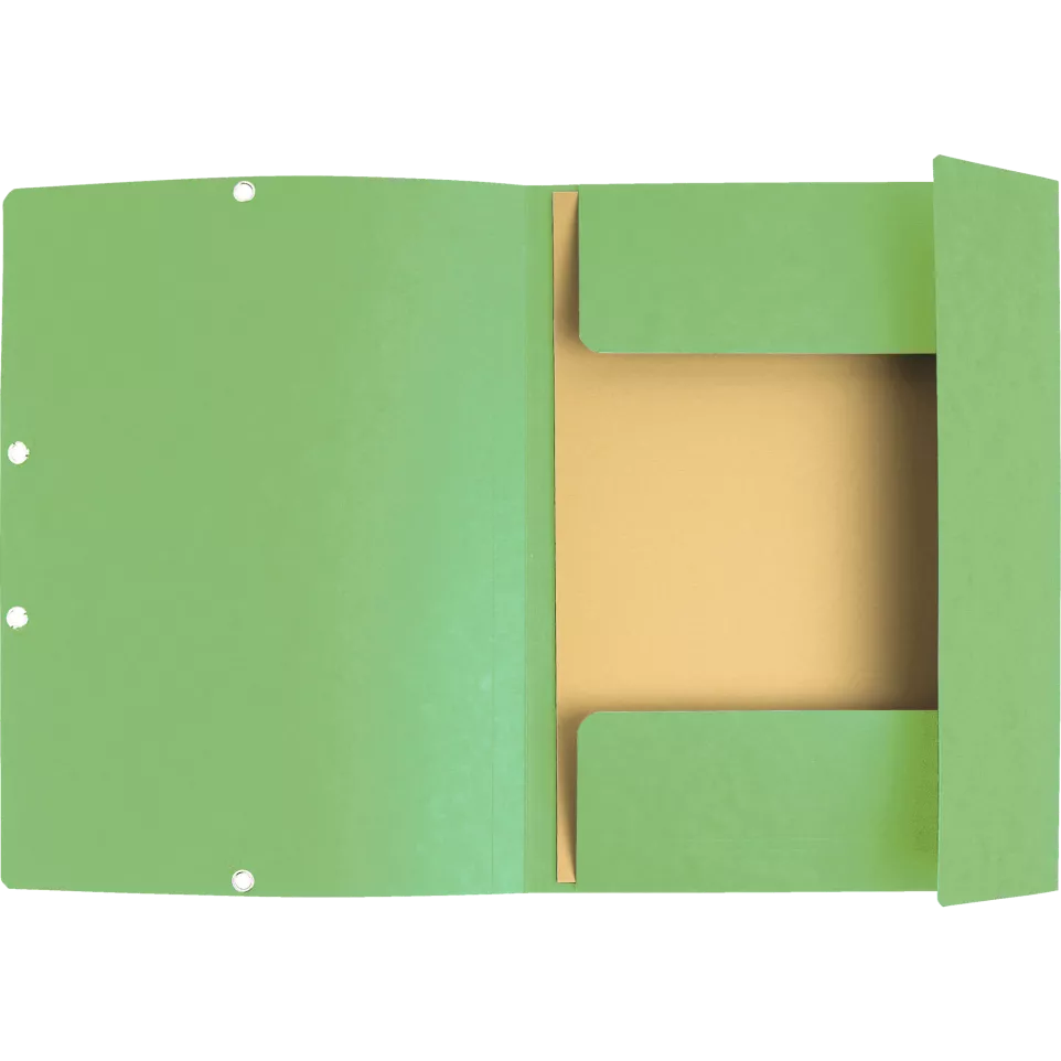 Exacompta Elasticated Folder, 3-Flap,...