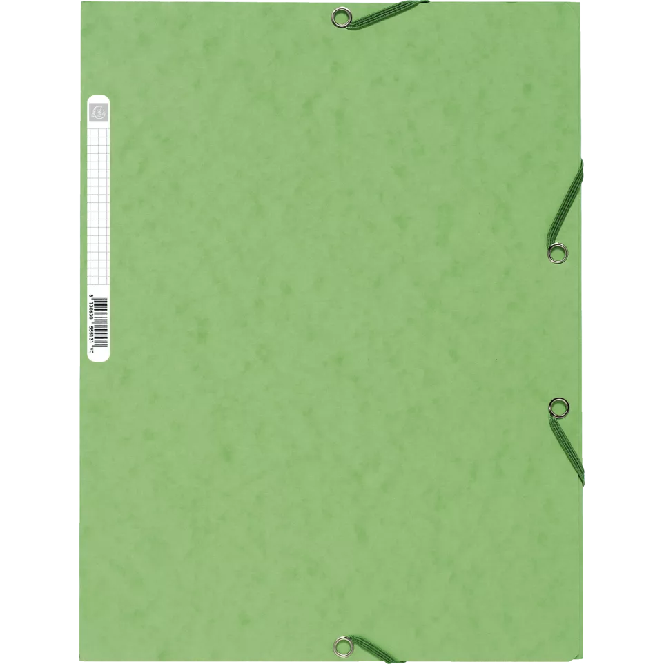 Exacompta Elasticated Folder, 3-Flap,...