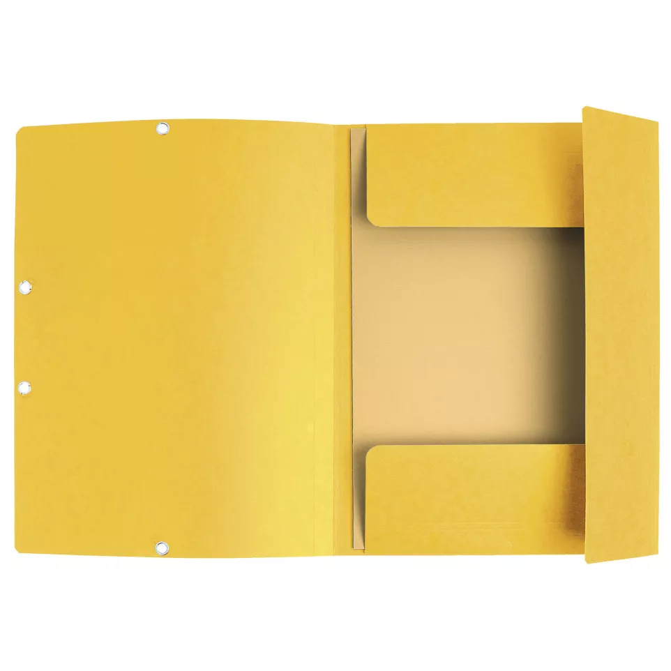 Exacompta Elasticated Folder, 3-Flap,...