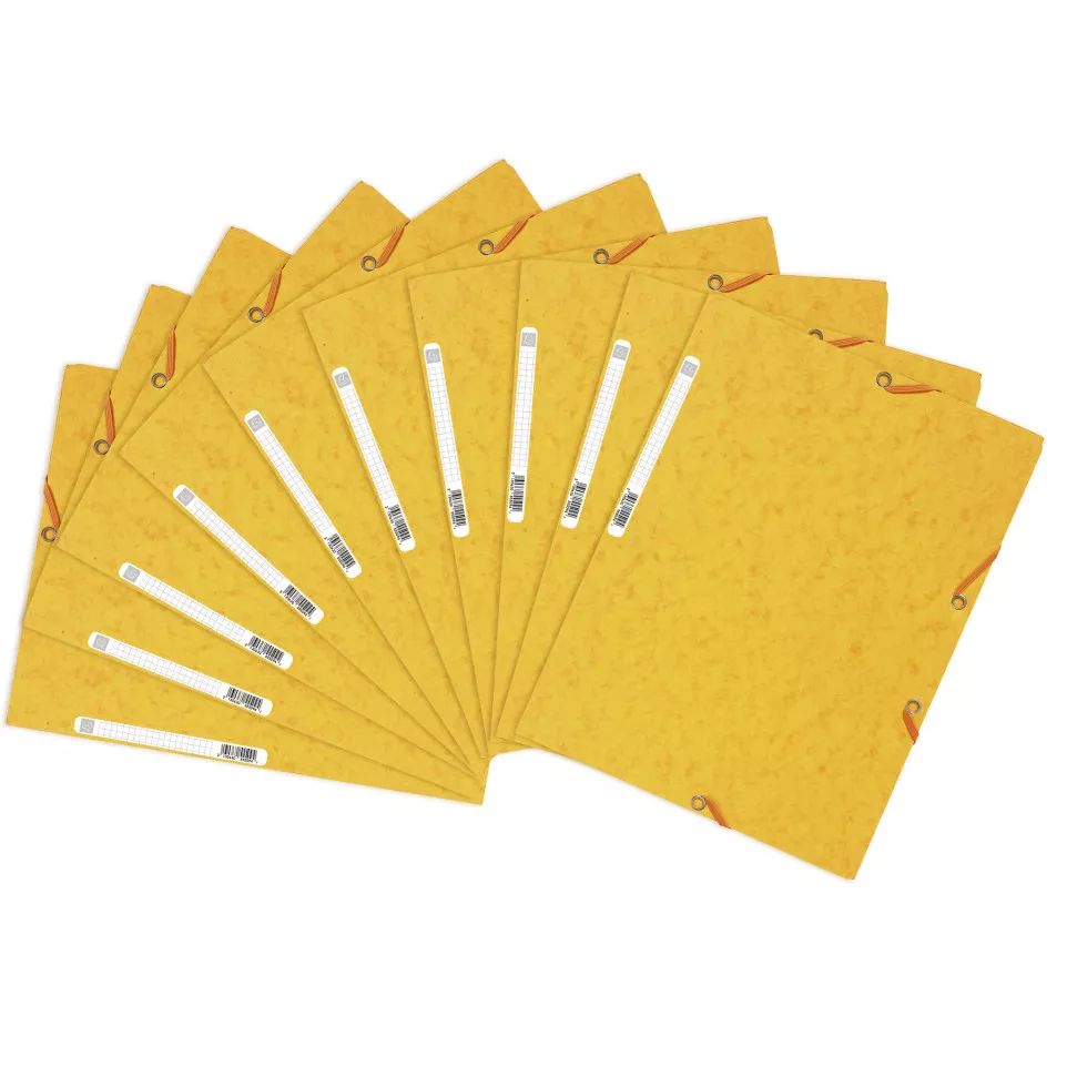 Exacompta Elasticated Folder, 3-Flap,...