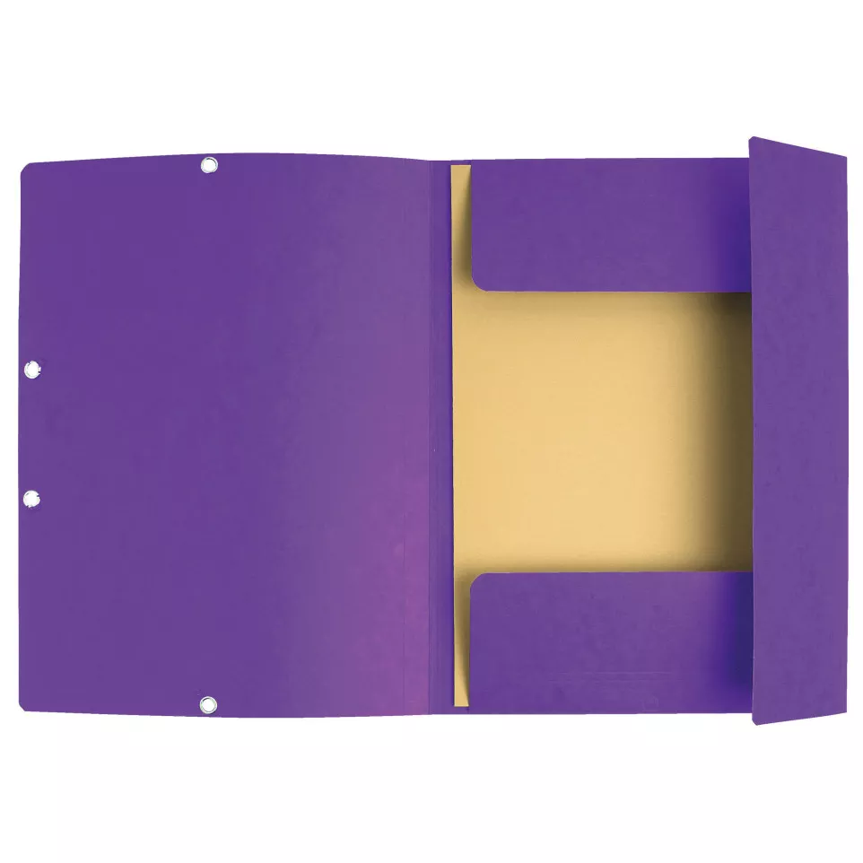 Exacompta Elasticated Folder, 3-Flap,...