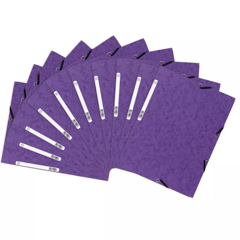 Exacompta Elasticated Folder, 3-Flap,...