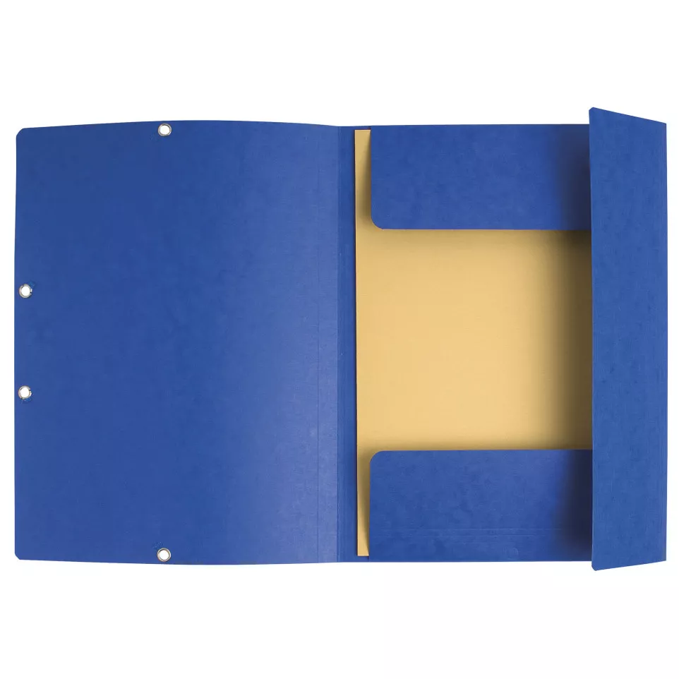 Exacompta Elasticated Folder, 3-Flap,...