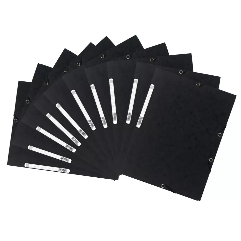 Exacompta Elasticated Folder, 3-Flap,...