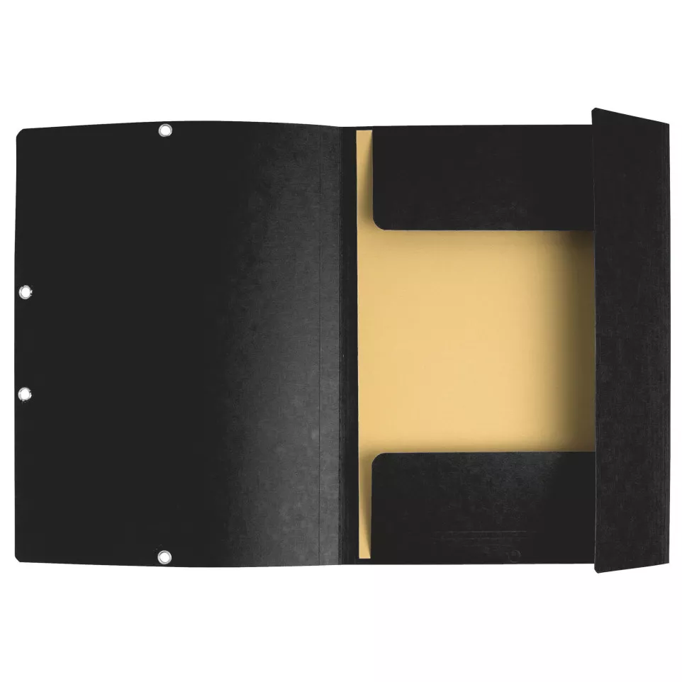 Exacompta Elasticated Folder, 3-Flap,...