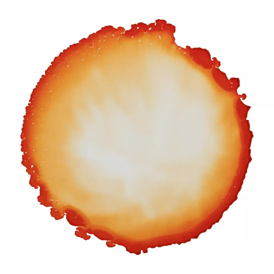 CERNIT - An opaque alcohol-based ink...