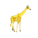 Crea 3D, Giraffe/ Pc.