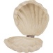 Doos schelp 12x12x5cm-/ St.