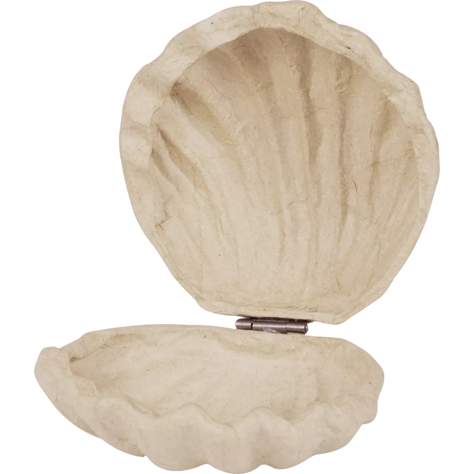 Doos schelp 12x12x5cm-/ St.