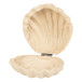 Doos schelp 12x12x5cm-/ St.