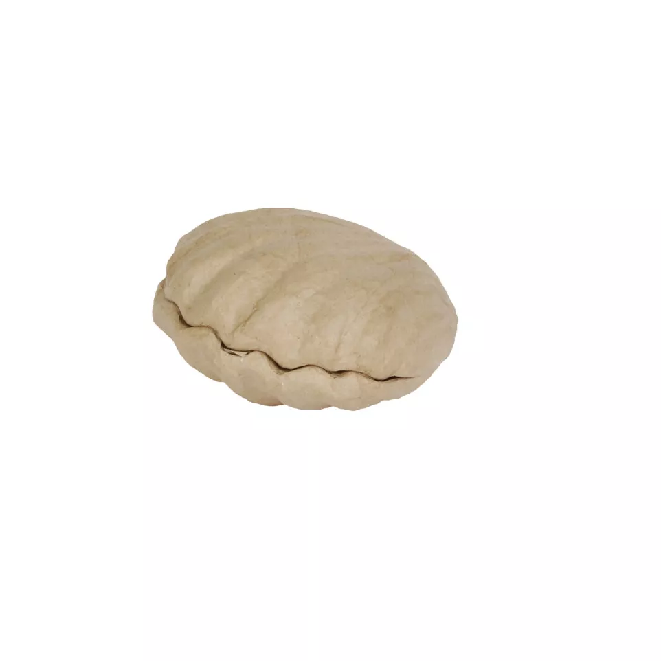 Doos schelp 12x12x5cm-/ St.