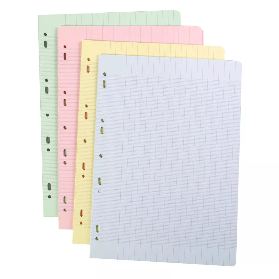 Losse bl/etui A4 100-b séyès...