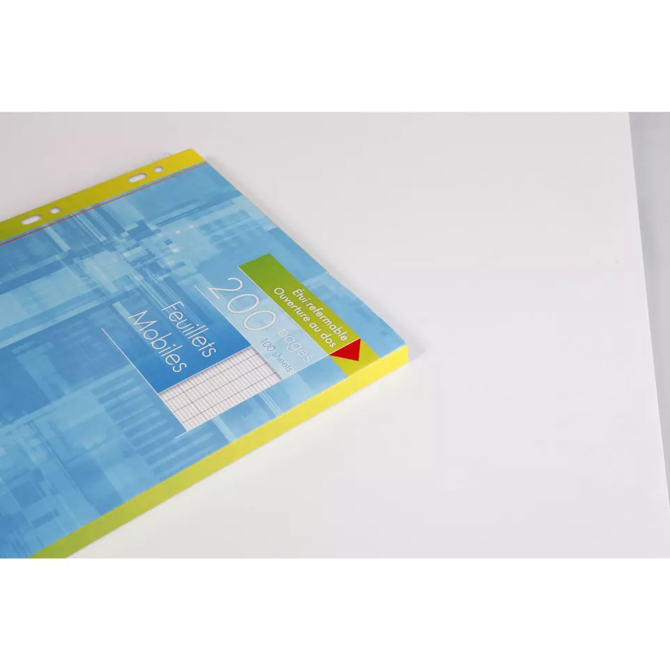 Clairefontaine Paper for Ring Binders...