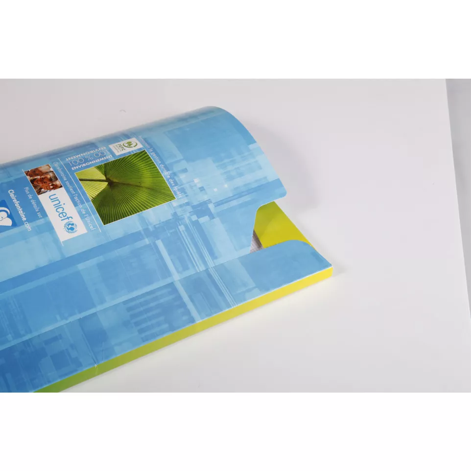 Feuillets mobiles sous étui A4 200...