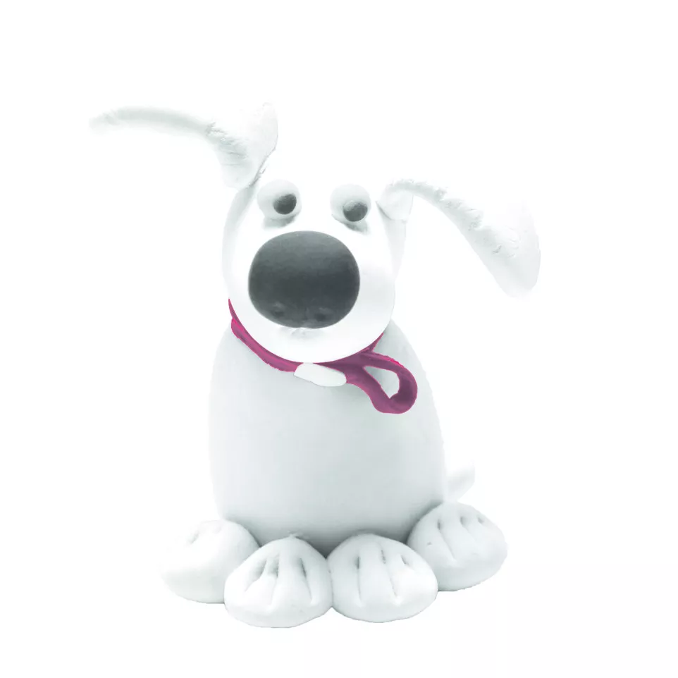 DARWI ZELFHARDEND KIDS 1kg-/ St.