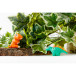 DARWI SOFTY 500g groen-/ St.
