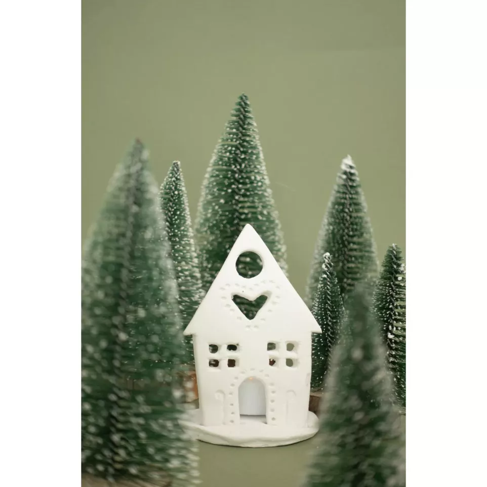 Darwi Classic Self Hardening...