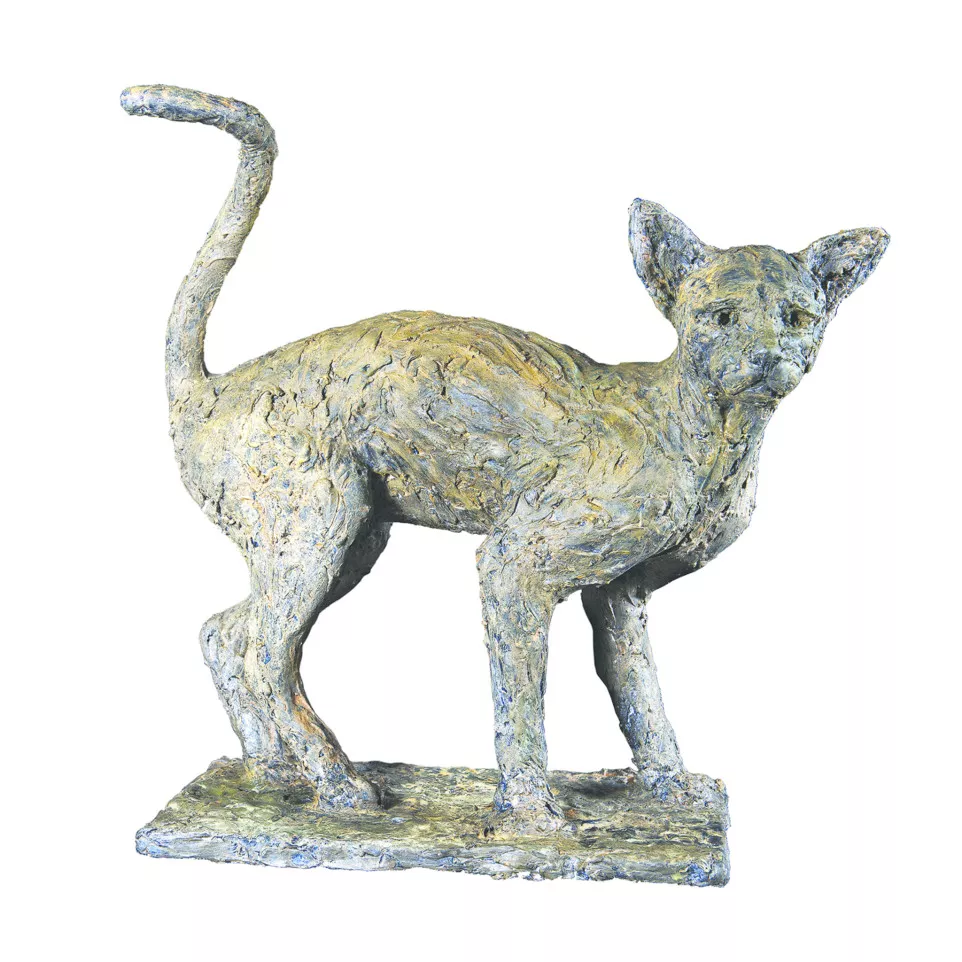 DARWI ZELFHARDEND ROC 1kg-/ St.