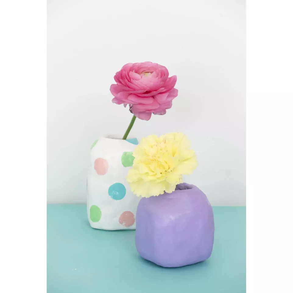 DARWI Pain de 1 kg de pâte...