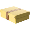 PureBox Pastell A4 geel 100mm-/ St.