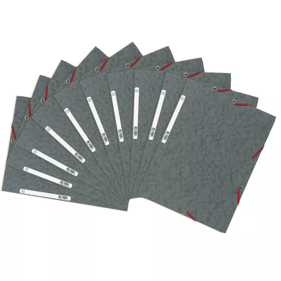 Exacompta Elasticated Folder, 3-Flap,...
