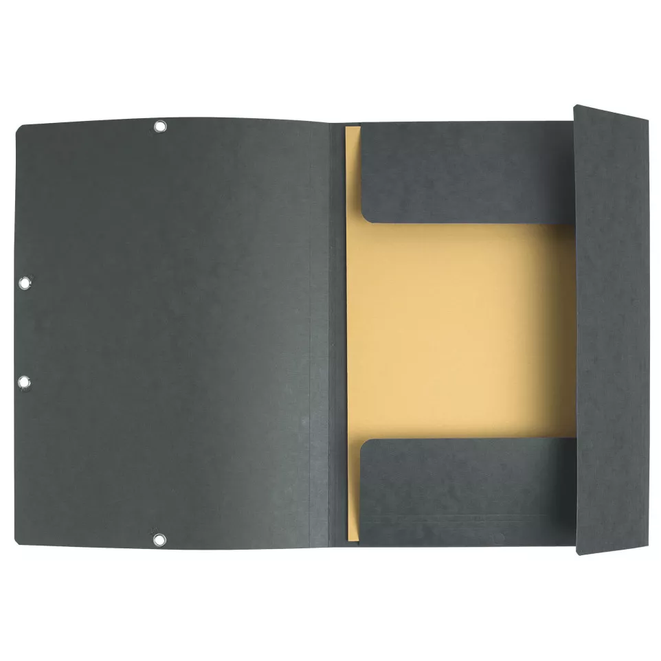 Exacompta Elasticated Folder, 3-Flap,...