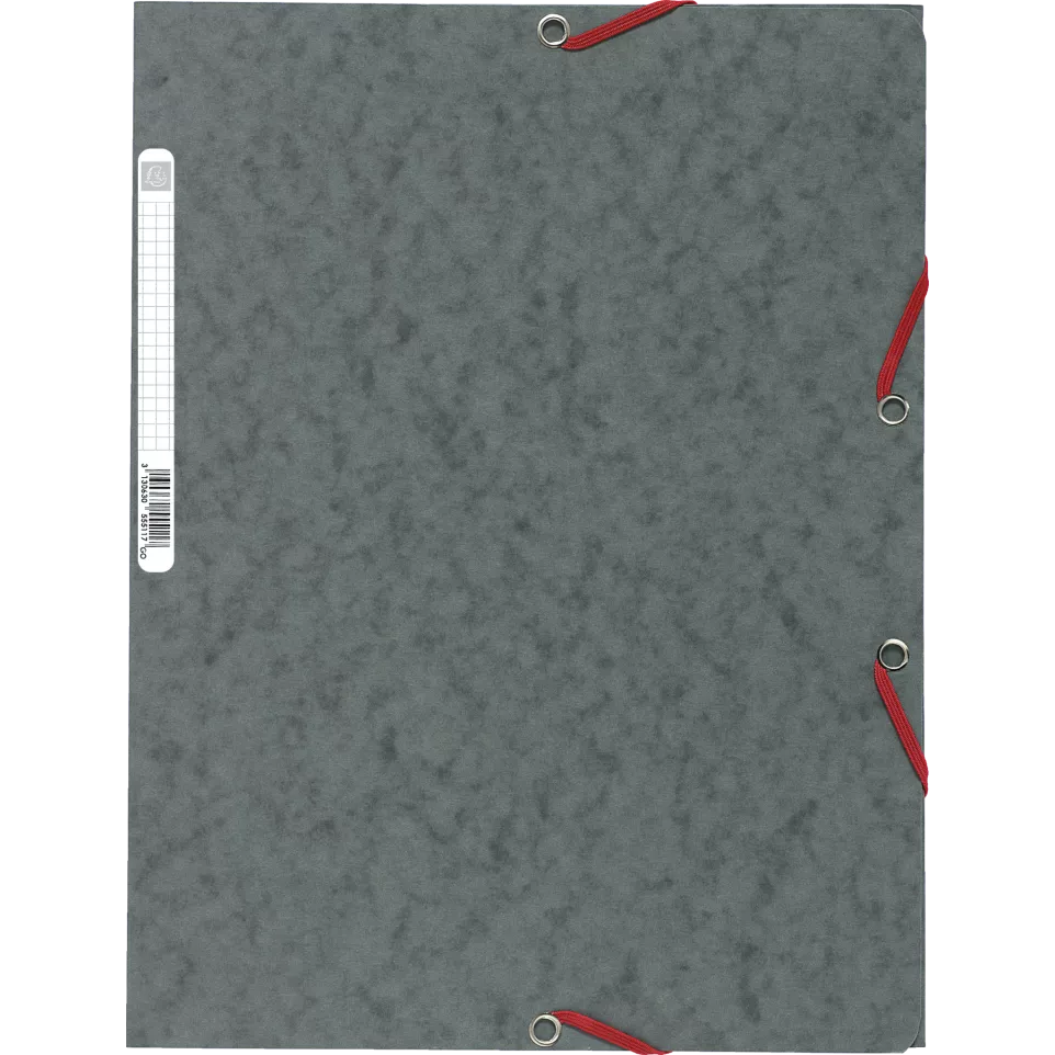 Exacompta Elasticated Folder, 3-Flap,...