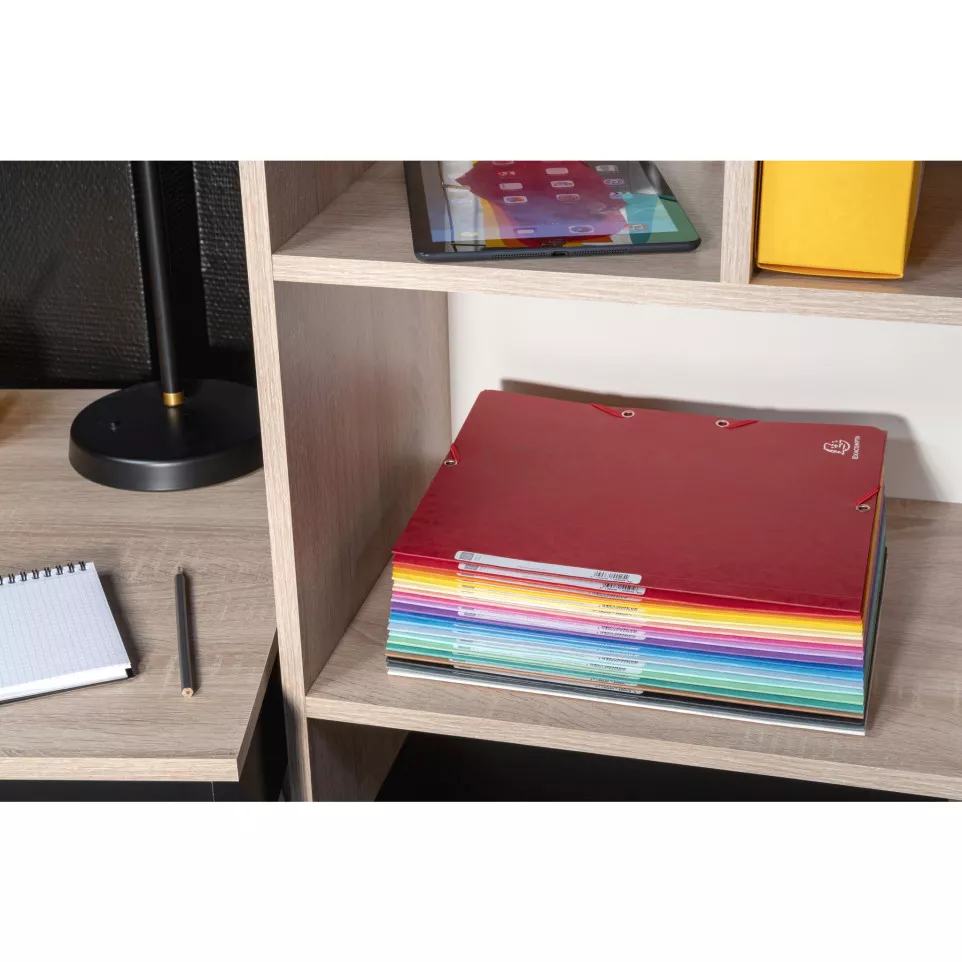 Exacompta Elasticated Folder, 3-Flap,...